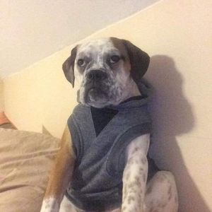 Meet your Posher, Sam